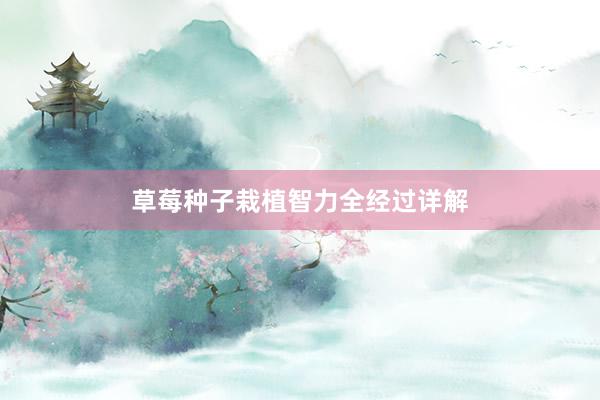 草莓种子栽植智力全经过详解