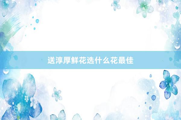 送淳厚鲜花选什么花最佳