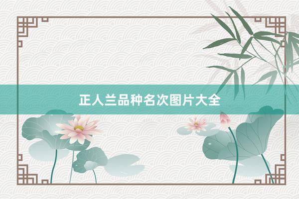 正人兰品种名次图片大全